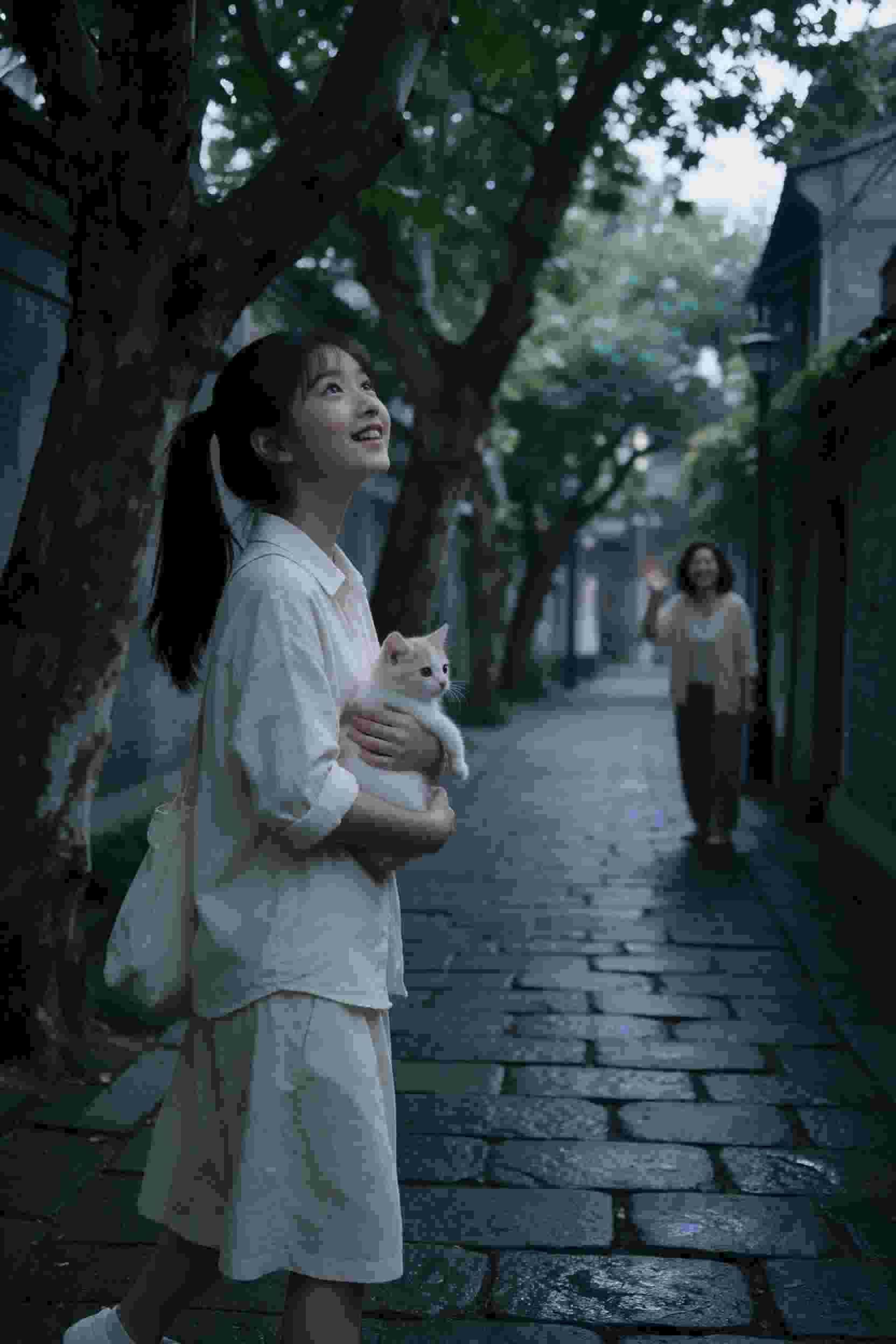 血十字修女篇